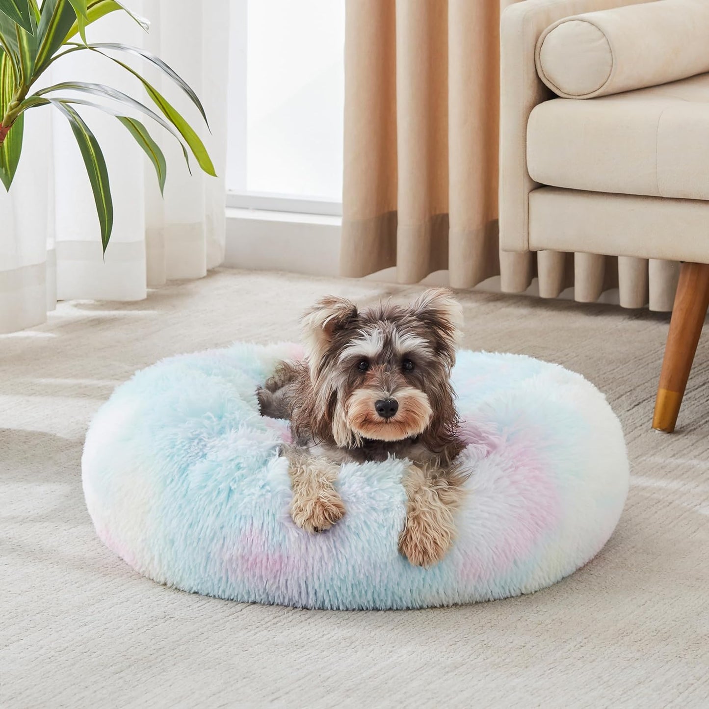 Calming Donut Bed