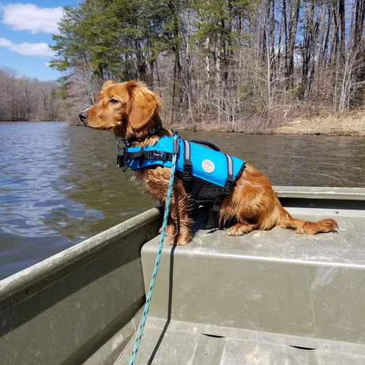 Premium Ripstop Dog Life Jacket - Blue