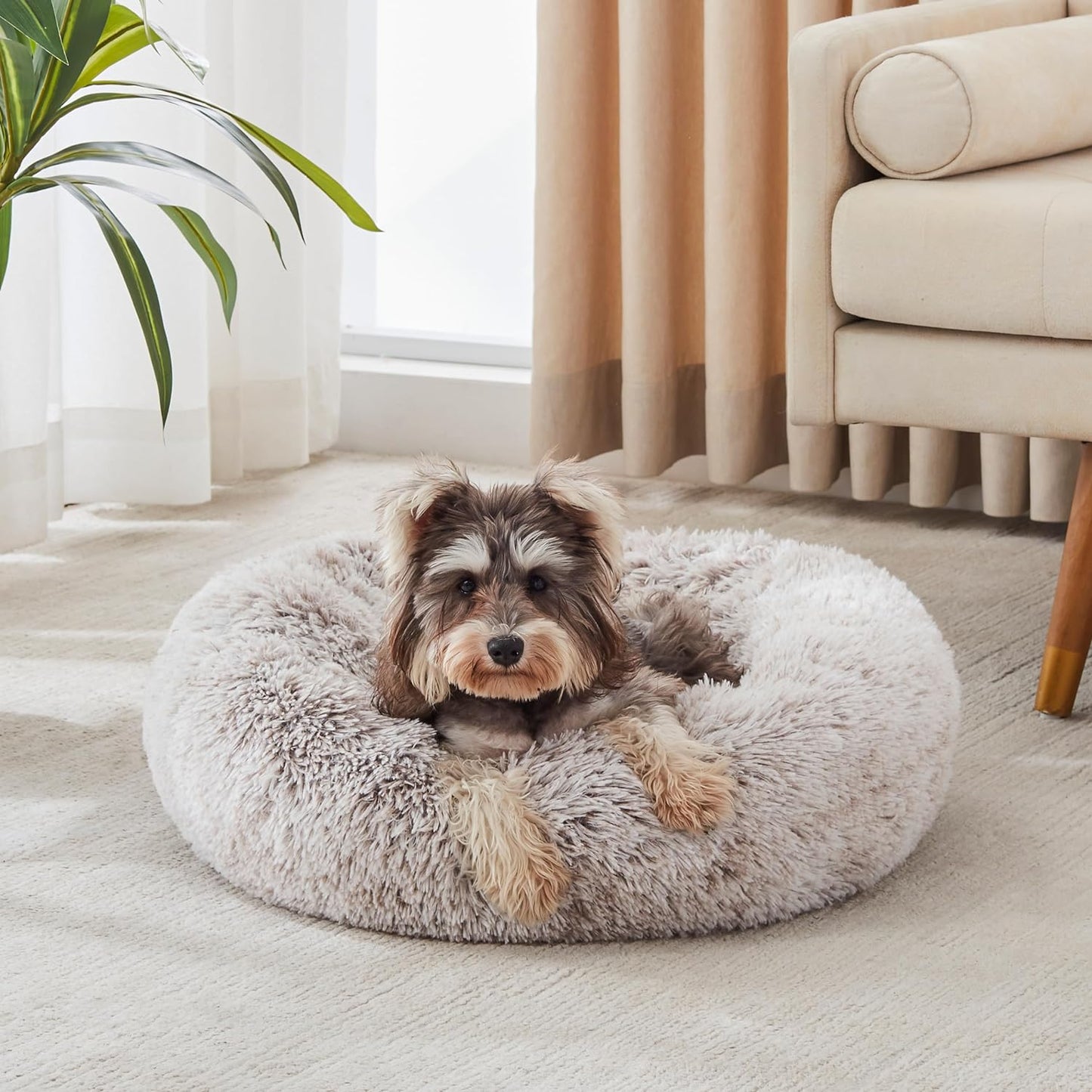 Calming Donut Bed
