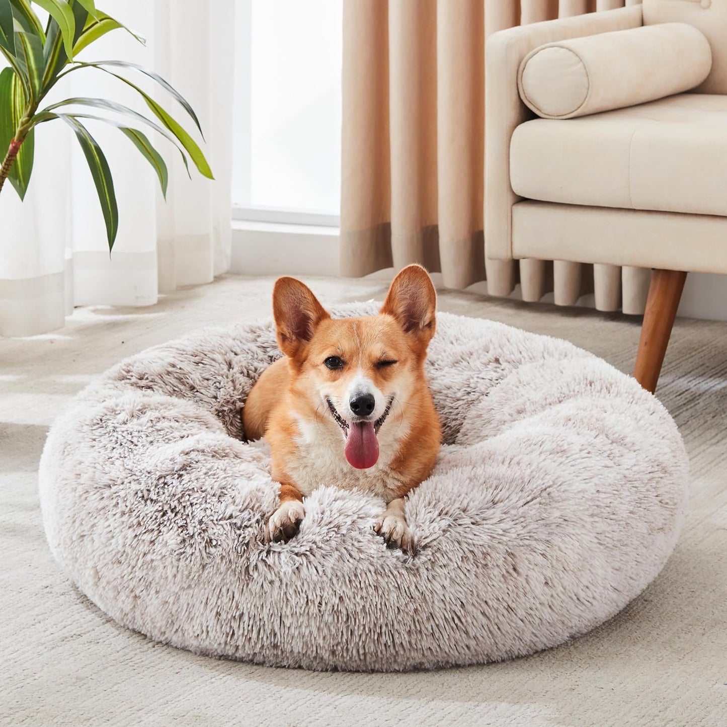 Calming Donut Bed