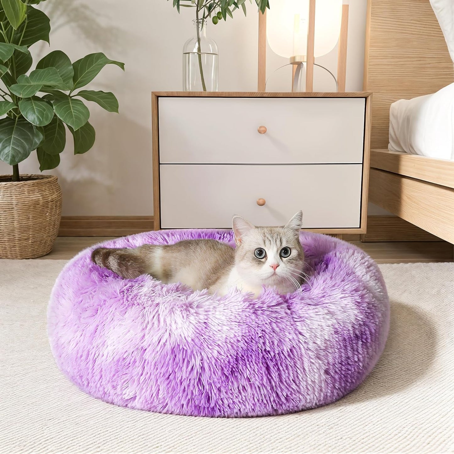 Calming Donut Bed