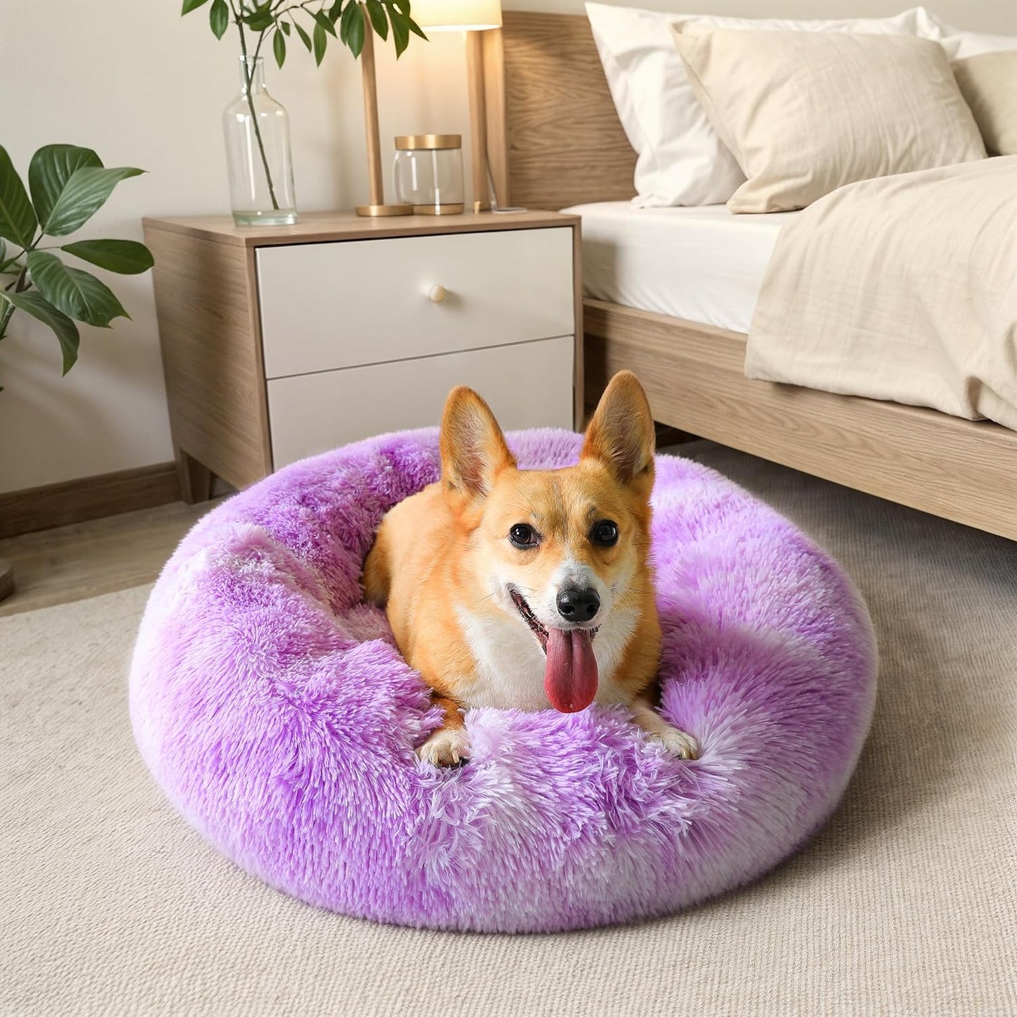 Calming Donut Bed