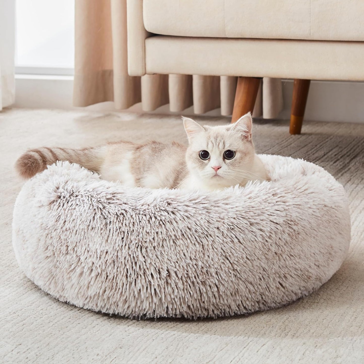 Calming Donut Bed
