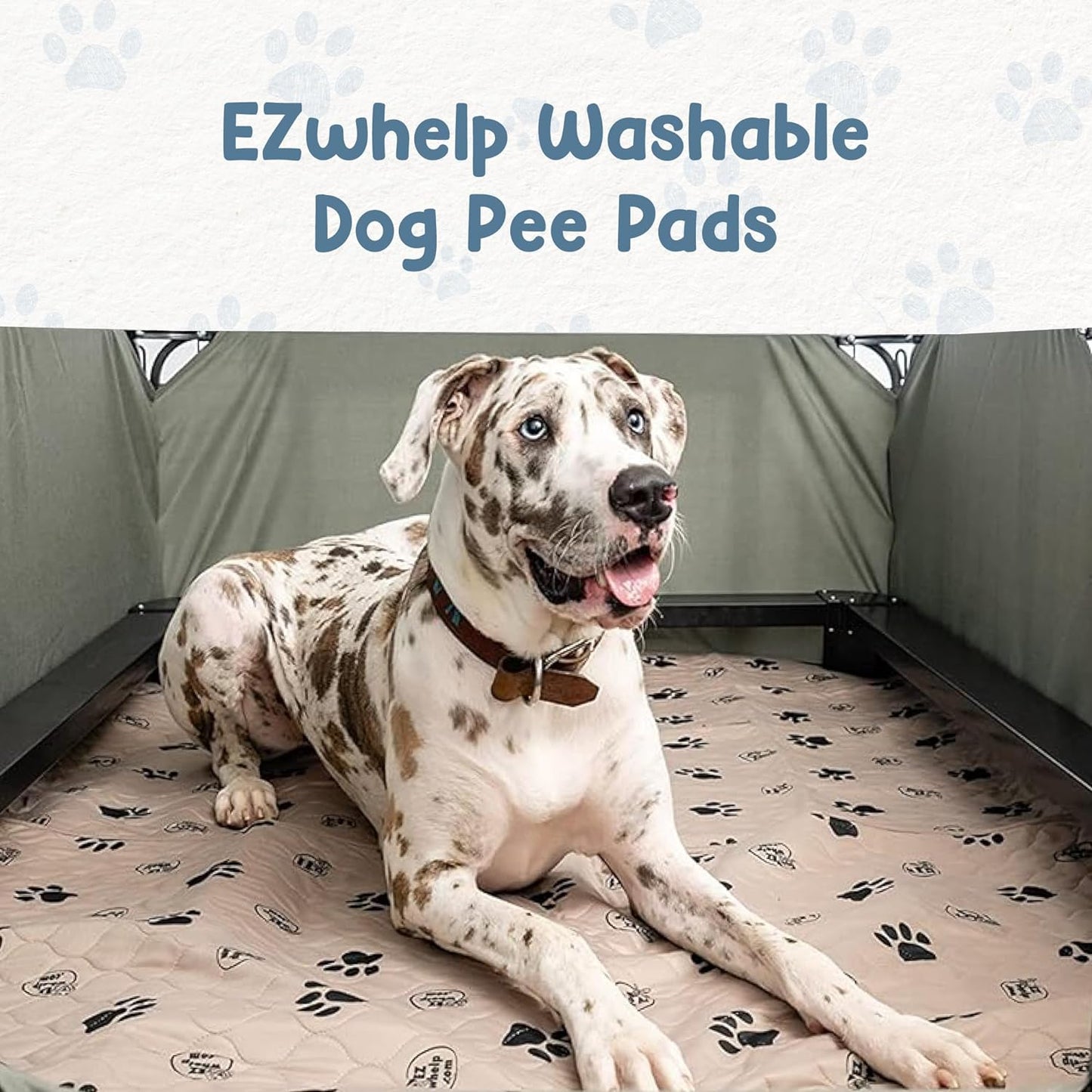 2-Pack Reusable Dog Pee Pads - Washable Waterproof
