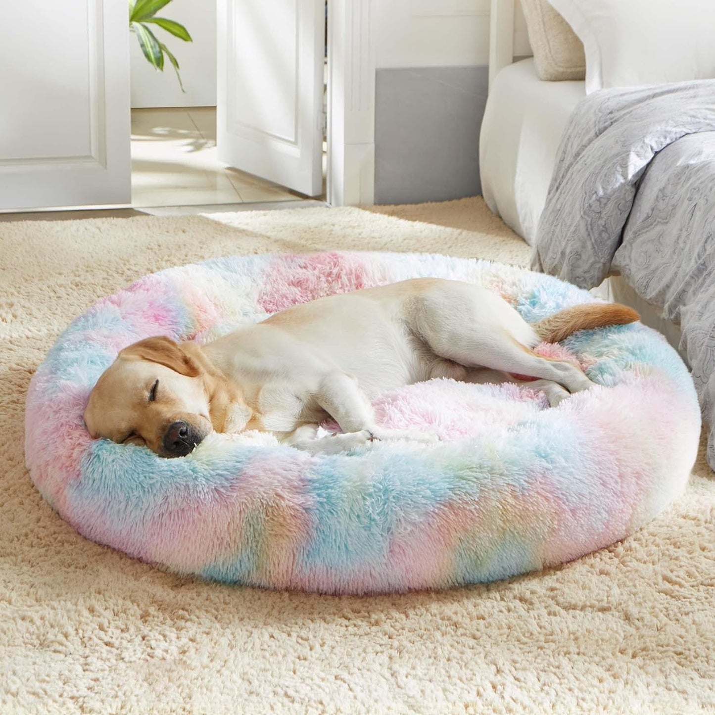 Calming Donut Bed