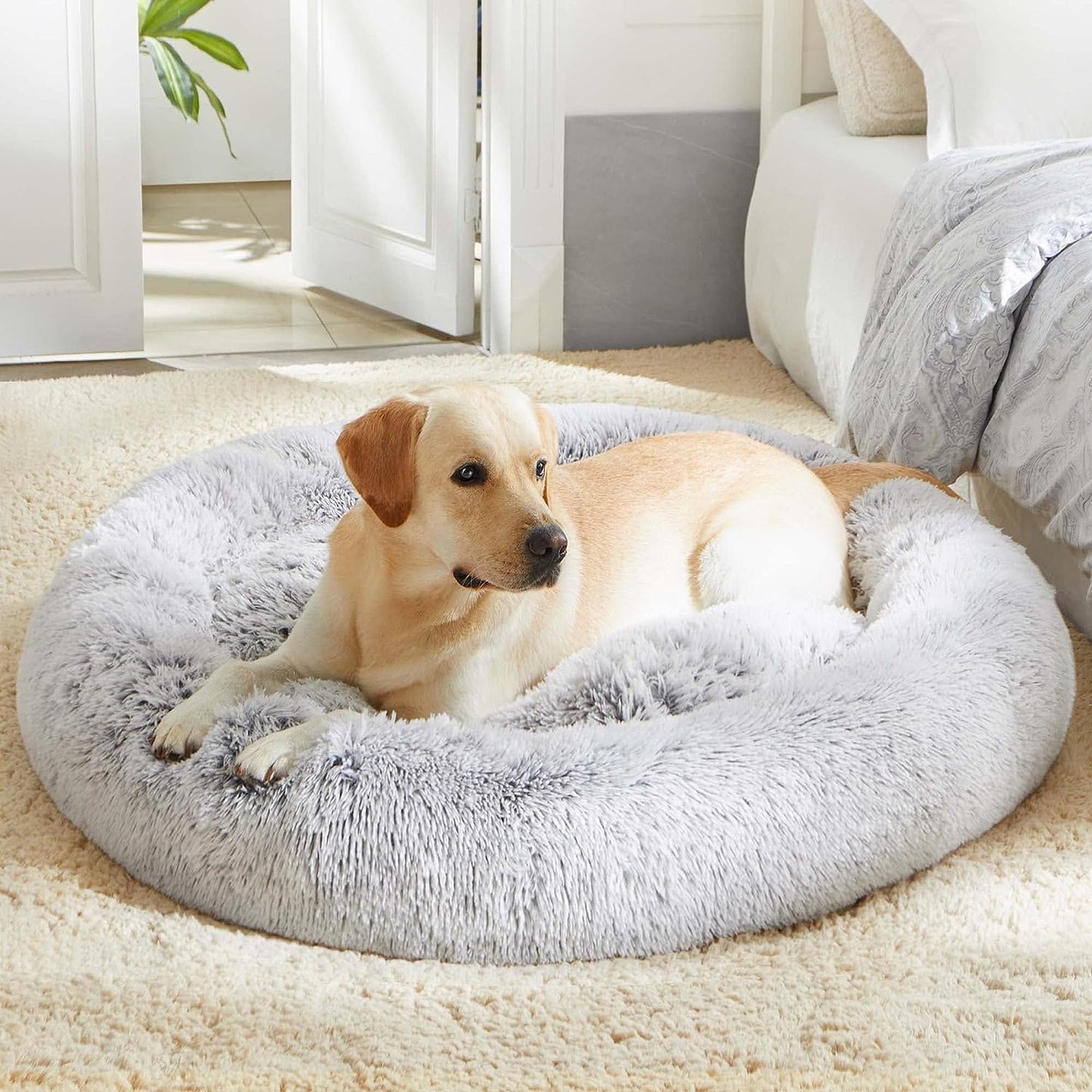 Calming Donut Bed