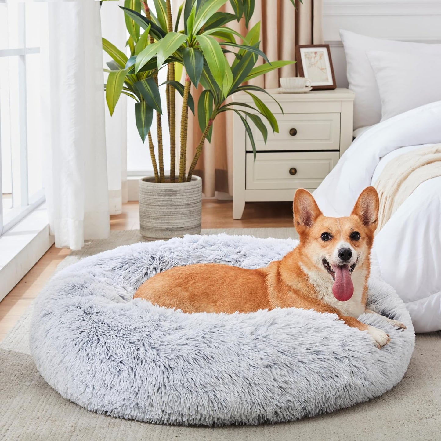 Calming Donut Bed
