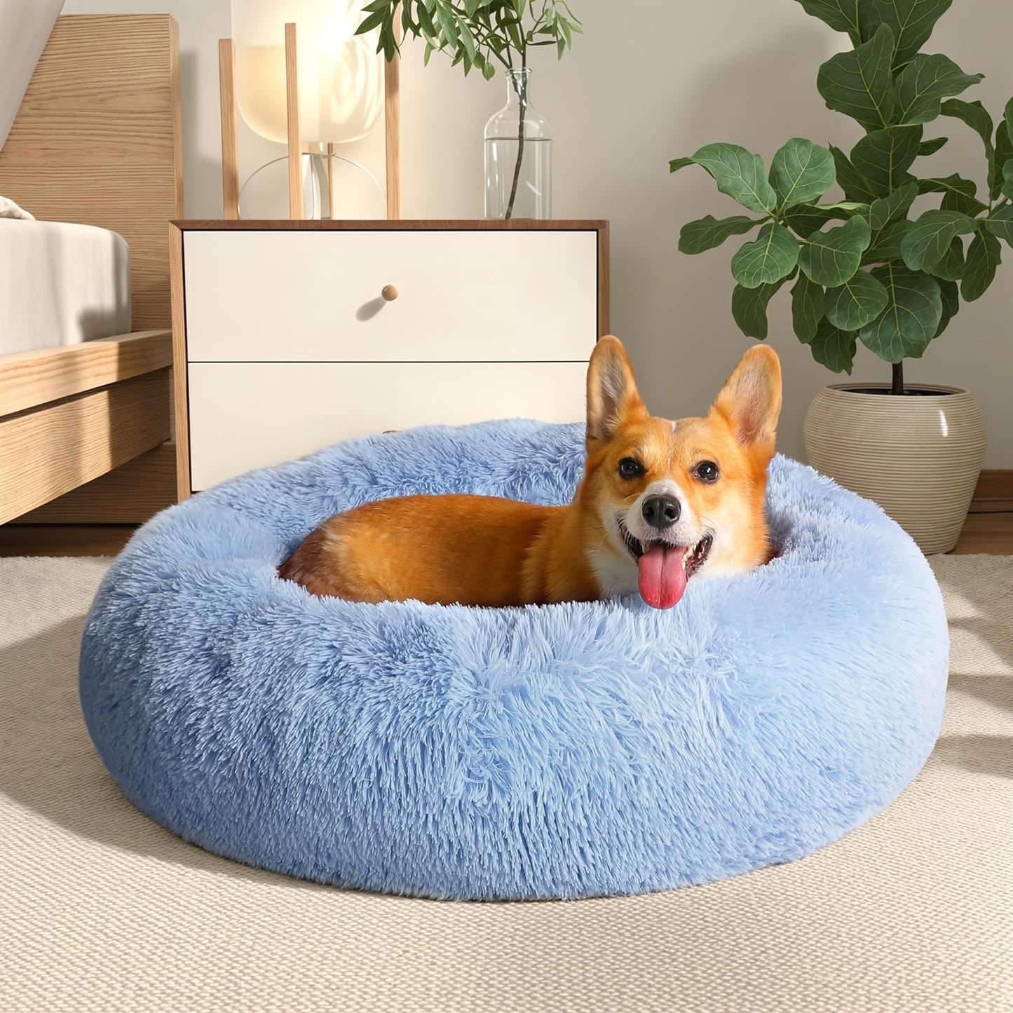 Calming Donut Bed