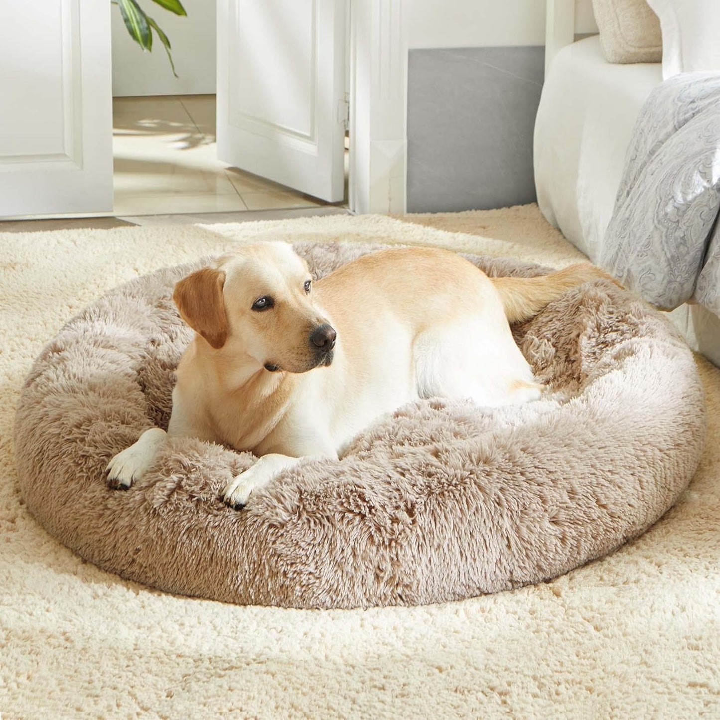 Calming Donut Bed
