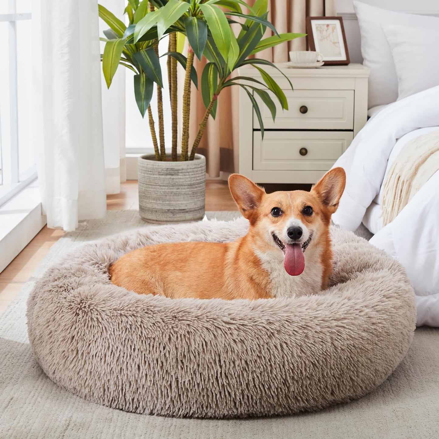 Calming Donut Bed