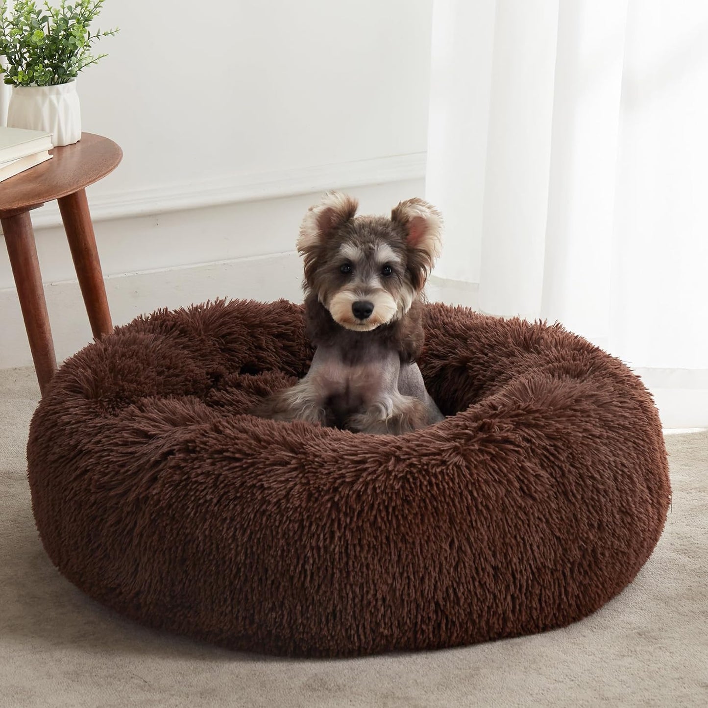 Calming Donut Bed