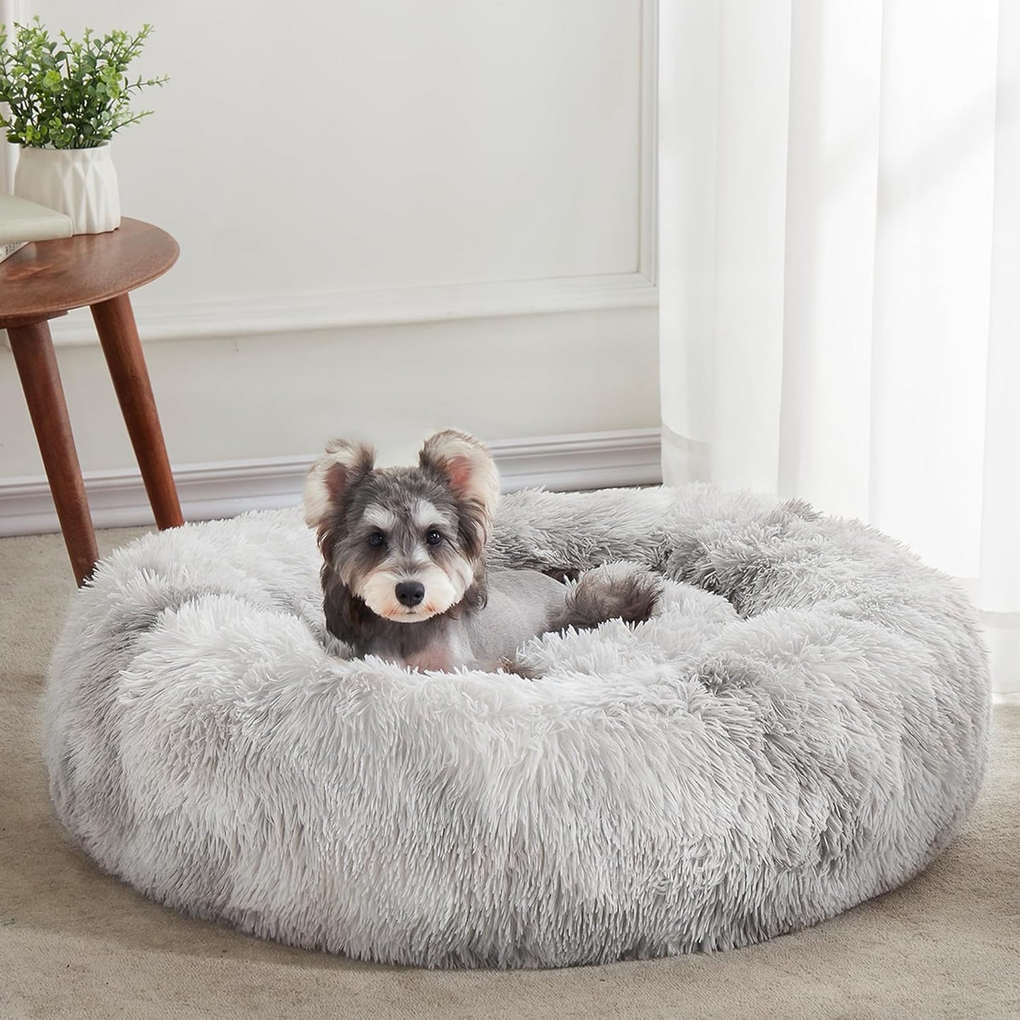 Calming Donut Bed