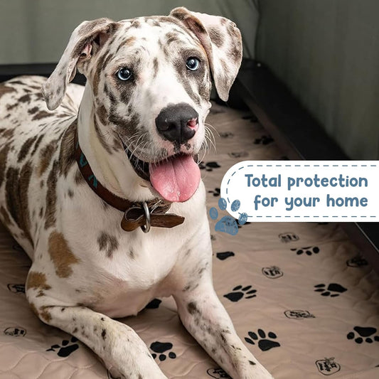 2-Pack Reusable Dog Pee Pads - Washable Waterproof