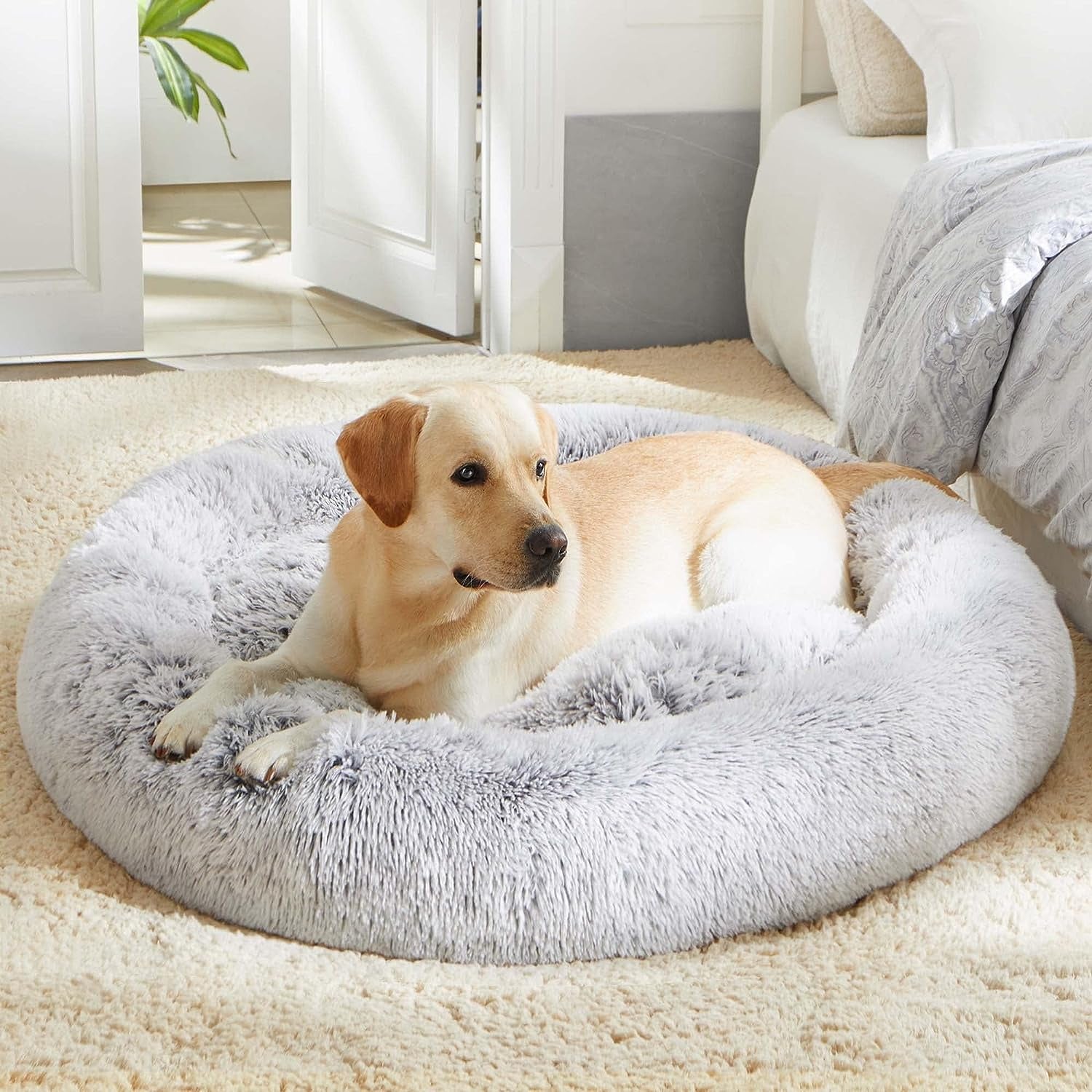 Calming Donut Bed