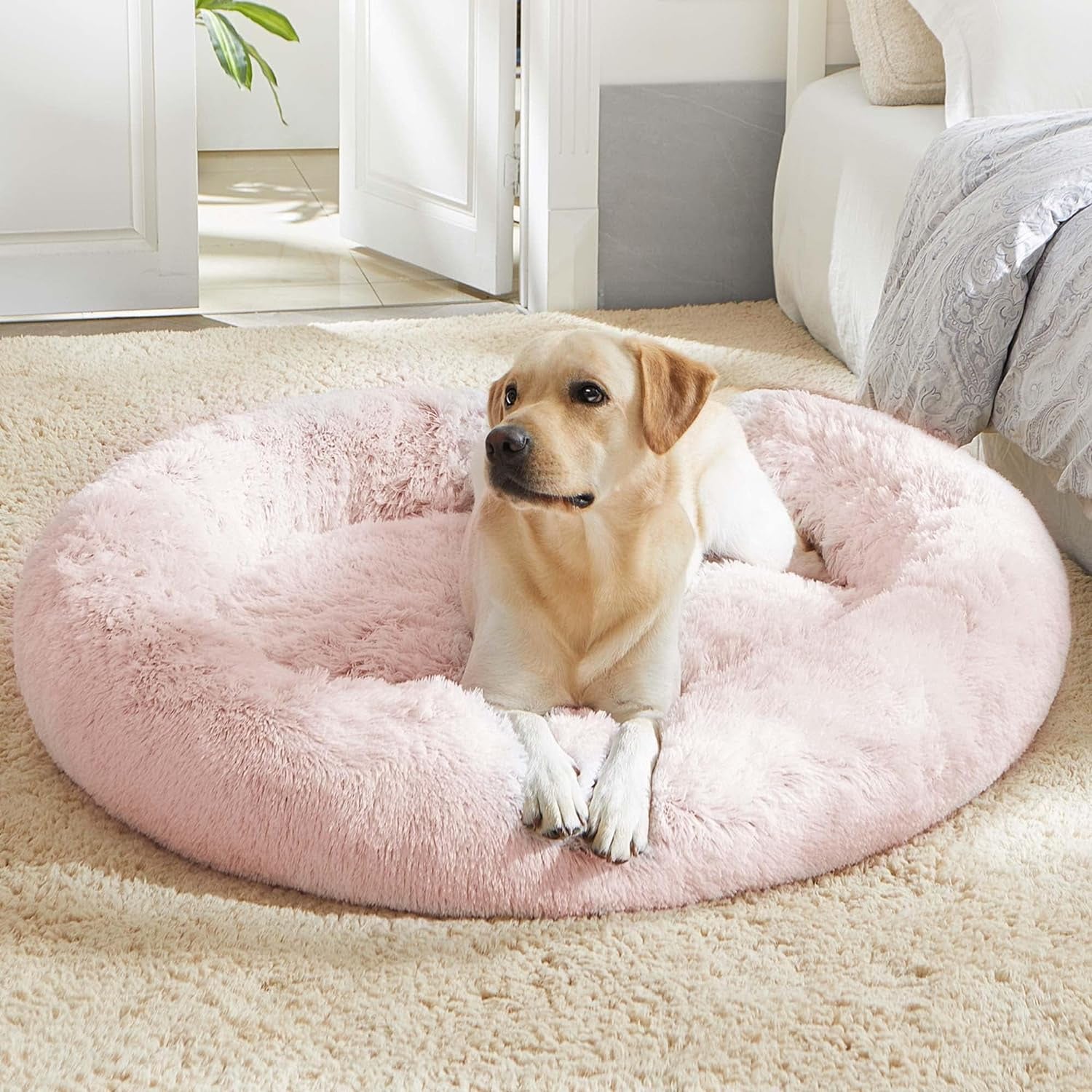 Calming Donut Bed